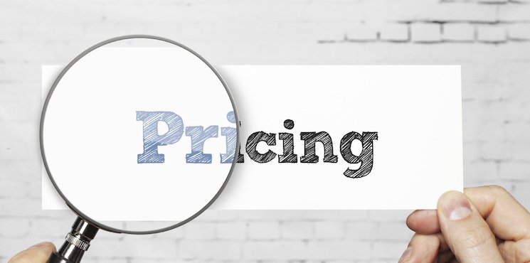 Pricing and technology of a fridge